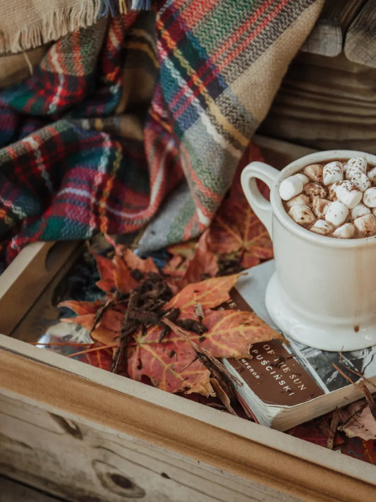 The Festive Christmas Book Tag