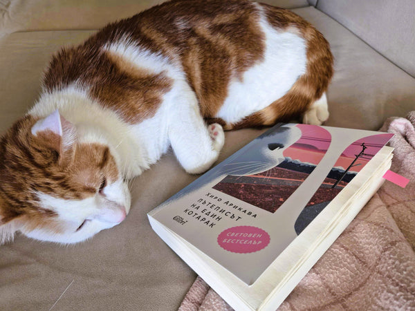 "Пътеписът на един котарак" от Хиро Арикава