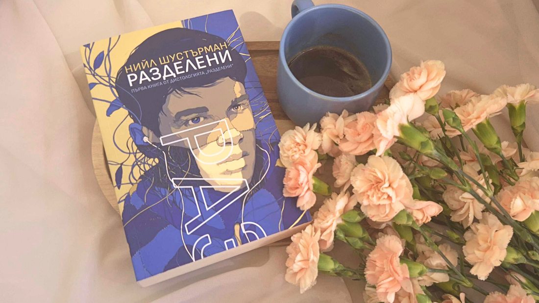 разделени ревю нийл шустърман