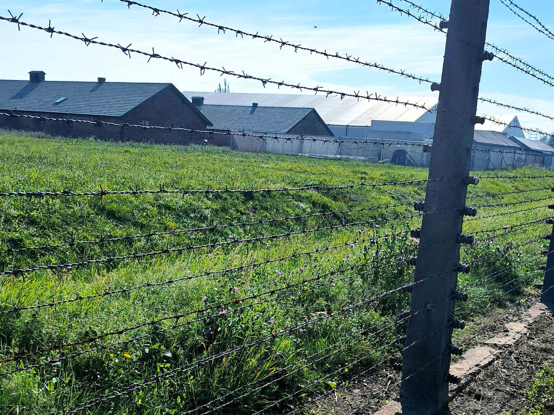 Аушвиц–Биркенау: място на памет и мълчание
