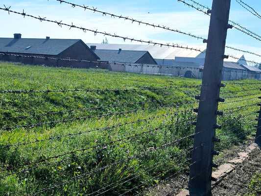 Аушвиц–Биркенау: място на памет и мълчание
